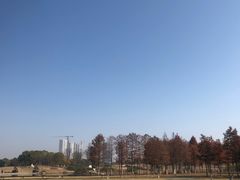 -滆湖低碳生态公园