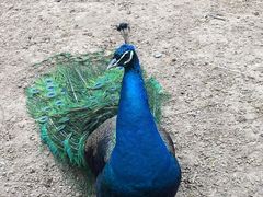 -祥源·阜阳生态乐园