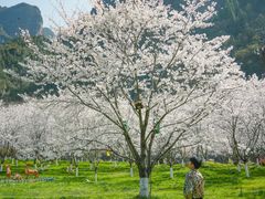 -高岚大峡谷旅游度假区