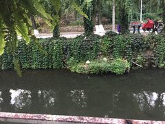 -Local泰莲庭(虹鳟鱼店)