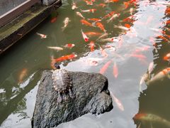-阳春市花园酒店