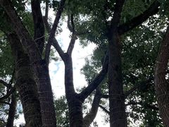 -青龙山国家森林公园