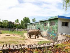 -西安秦岭野生动物园