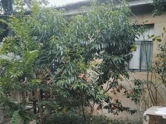 -天怡·鱼工厂(梅溪湖店)