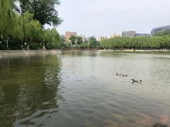-中国农业博物馆