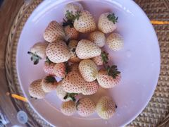 -南坛综合农贸市场