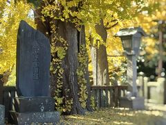 -成田山新胜寺