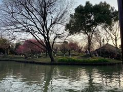 -西溪国家湿地公园