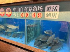 -淘米捞·米汤脆鲩鱼火锅(福田皇岗店)