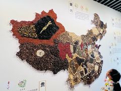-北京中医药大学-中医药博物馆