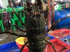 -幸福姐海鲜大排档