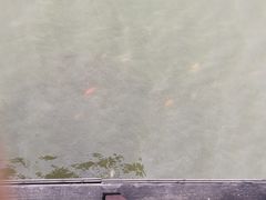 -武清南湖绿博园
