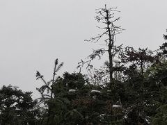 -象山森林公园