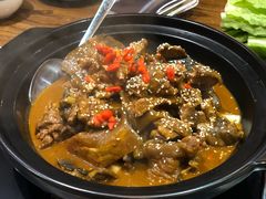 甲鱼锅-洪湘记川湘·甲鱼馆(四海凯悦美食广场店)