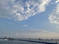 -碧海金沙