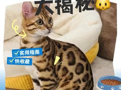 -申普宠物医院·眼科·心内科·影像科(普陀分院)