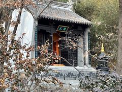 -石老人观光园