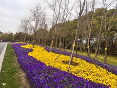 -狼山风景名胜区