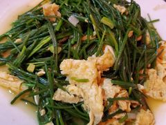-范记靖远羊羔肉(博物馆店)