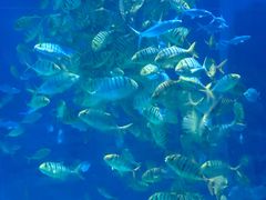 -常州海昌海洋探索馆