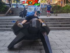 -广东惠东海龟国家级自然保护区