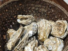 -蚝堡海鲜·威海菜·海肠捞饭·烧烤·亚洲吃蚝公司(幸福门店)