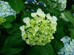 -艾溪湖湿地公园