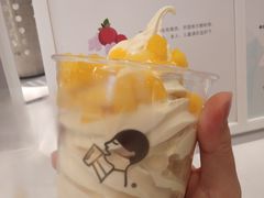 芒芒冰淇凌-喜茶(佛山岭南站店)