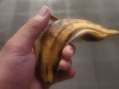 -海派健身(洋河力帆店)