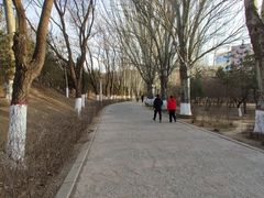 -青城公园