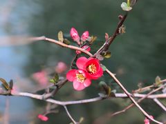 -西北湖绿化广场
