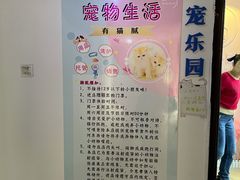 -喵宠乐园·撸猫互动·猫舍