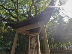 -兰亭风景区