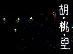 -胡桃里音乐酒馆(石家庄店)