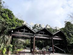 -普洱太阳河森林公园