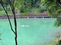 -广州白江湖森林公园