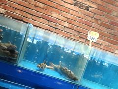 -洞庭鱼香(万科店)
