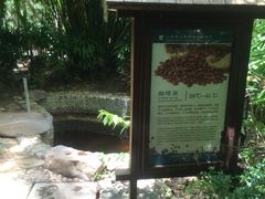 -三亚珠江南田温泉度假区