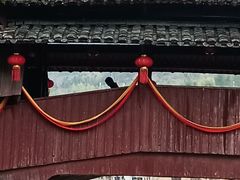 -中国庆元廊桥博物馆