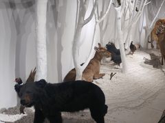 -世界地热博览园