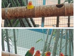 -石家庄市动物园