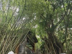 -荷花温泉