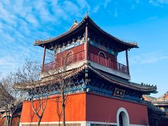 -东堤公园