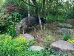 -茅山东方盐湖城景区