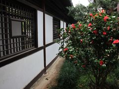 -常熟方塔园