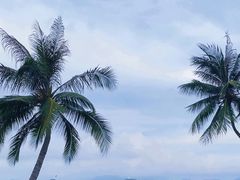 -JW万豪厨房餐厅·滨海草坪烧烤·海鲜·海景(三亚绿发山海天JW万豪酒店)