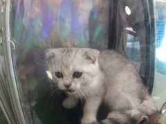 -北京恒爱动物医院(清景园分院)