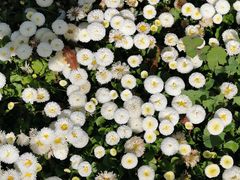 -吴淞炮台湾湿地森林公园烧烤区