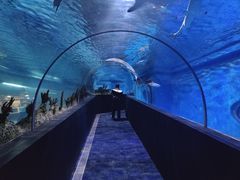 -成都浩海立方海洋公园