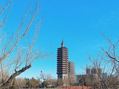 -西海子公园